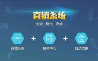 軟件批發與供應 郵編商務網youbian.com的全面信息技術咨詢服務