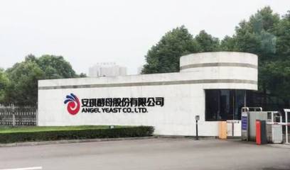 安琪酵母 以生物技術(shù)創(chuàng)新引領(lǐng)健康生活新時代