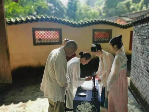 書院雅集丨辛丑年傳統(tǒng)文化藝術(shù)雅集孟夏之約暨首屆傳統(tǒng)文化大家談主題論壇活動在趙公山成功舉辦